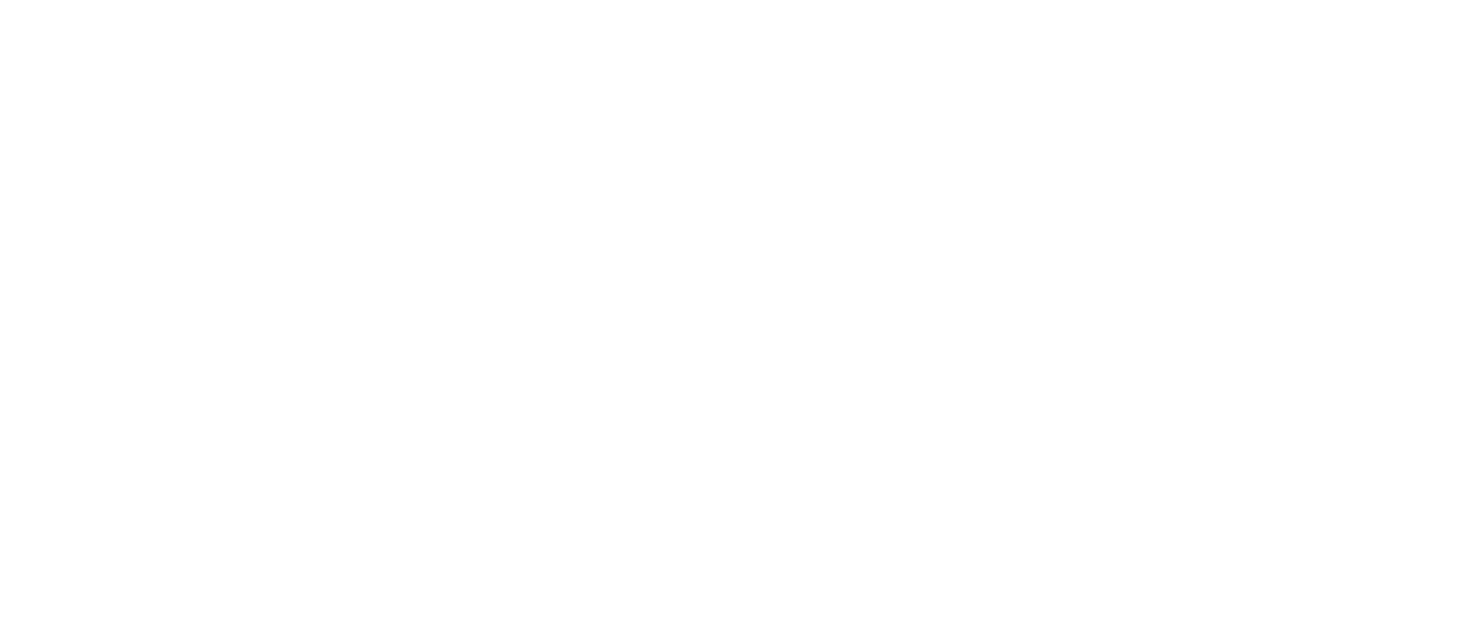 BAW 212 Logo